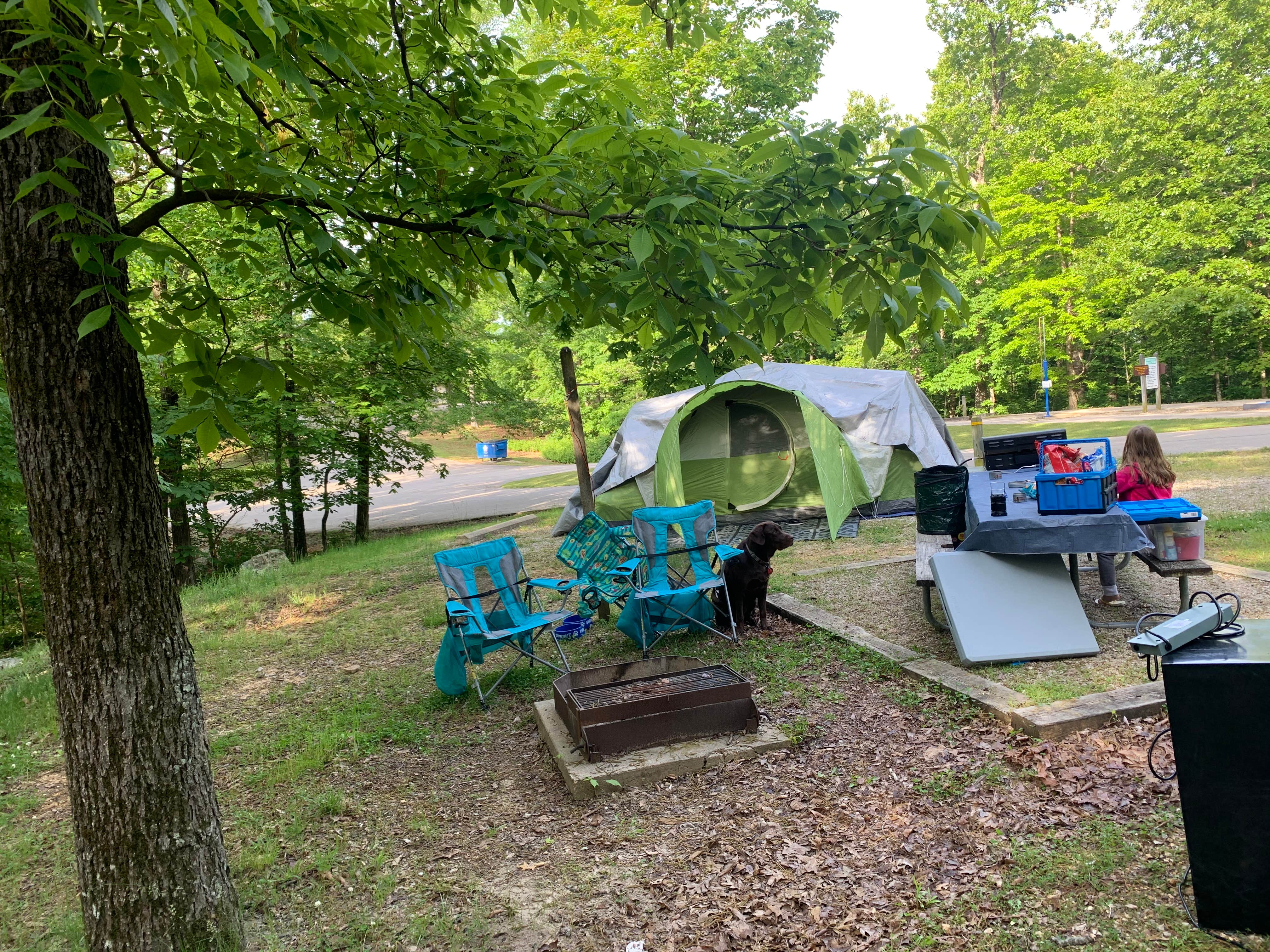 Jessica B.'s photo at Ridge Campground — Lake Wappapello State Park near Poplar Bluff, MO