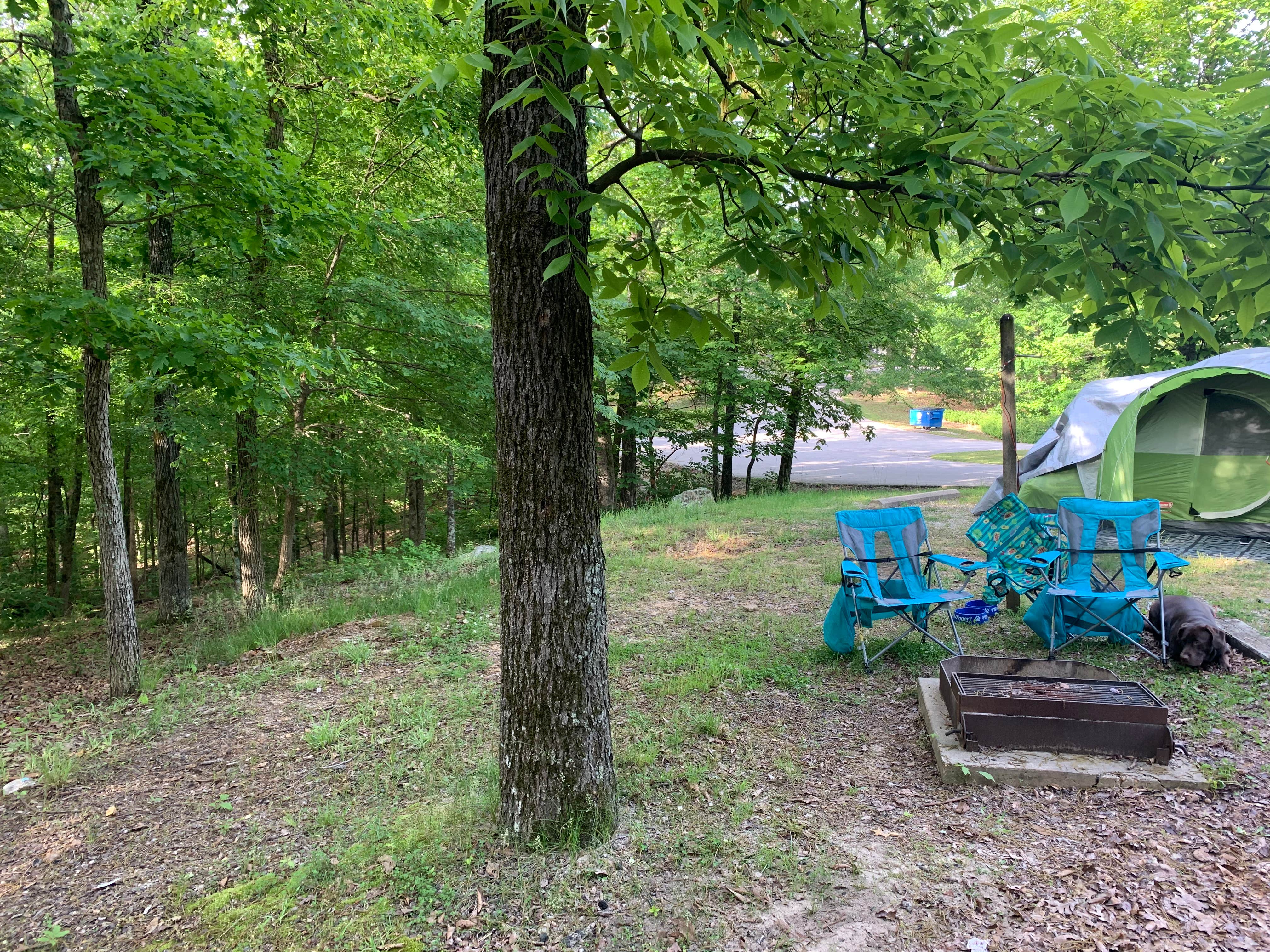 Jessica B.'s photo at Ridge Campground — Lake Wappapello State Park near Wappapello, MO