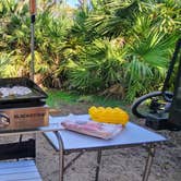 Review photo of North Beach Camp Resort by Jeffrey S., May 17, 2021