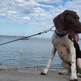 Review photo of North Beach Camp Resort by Jeffrey S., May 17, 2021