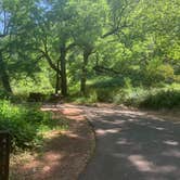 Review photo of McCloud Bridge Campground by Toni  K., May 17, 2021