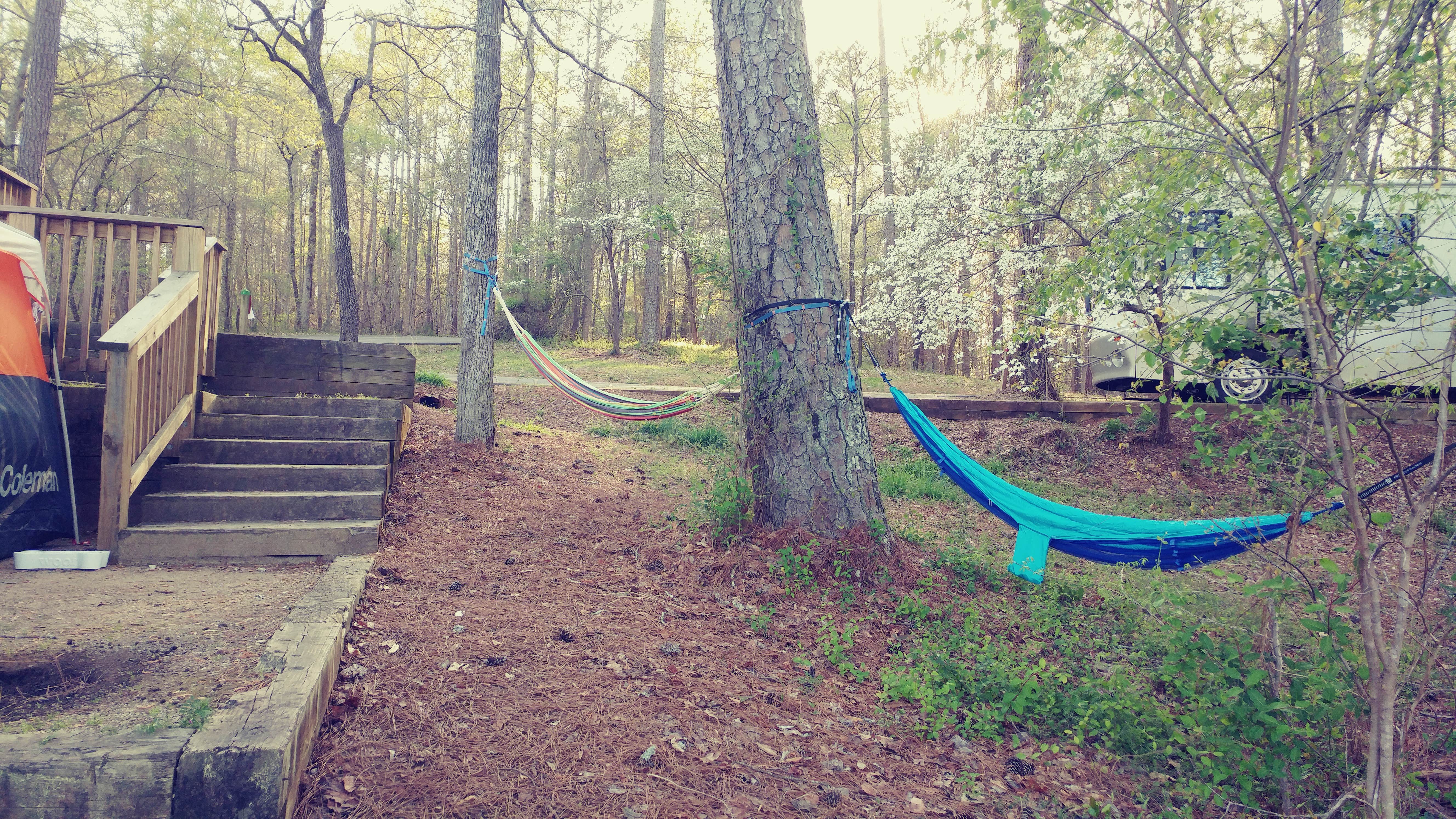 Camper submitted image from Hard Labor Creek State Park Campground - 4