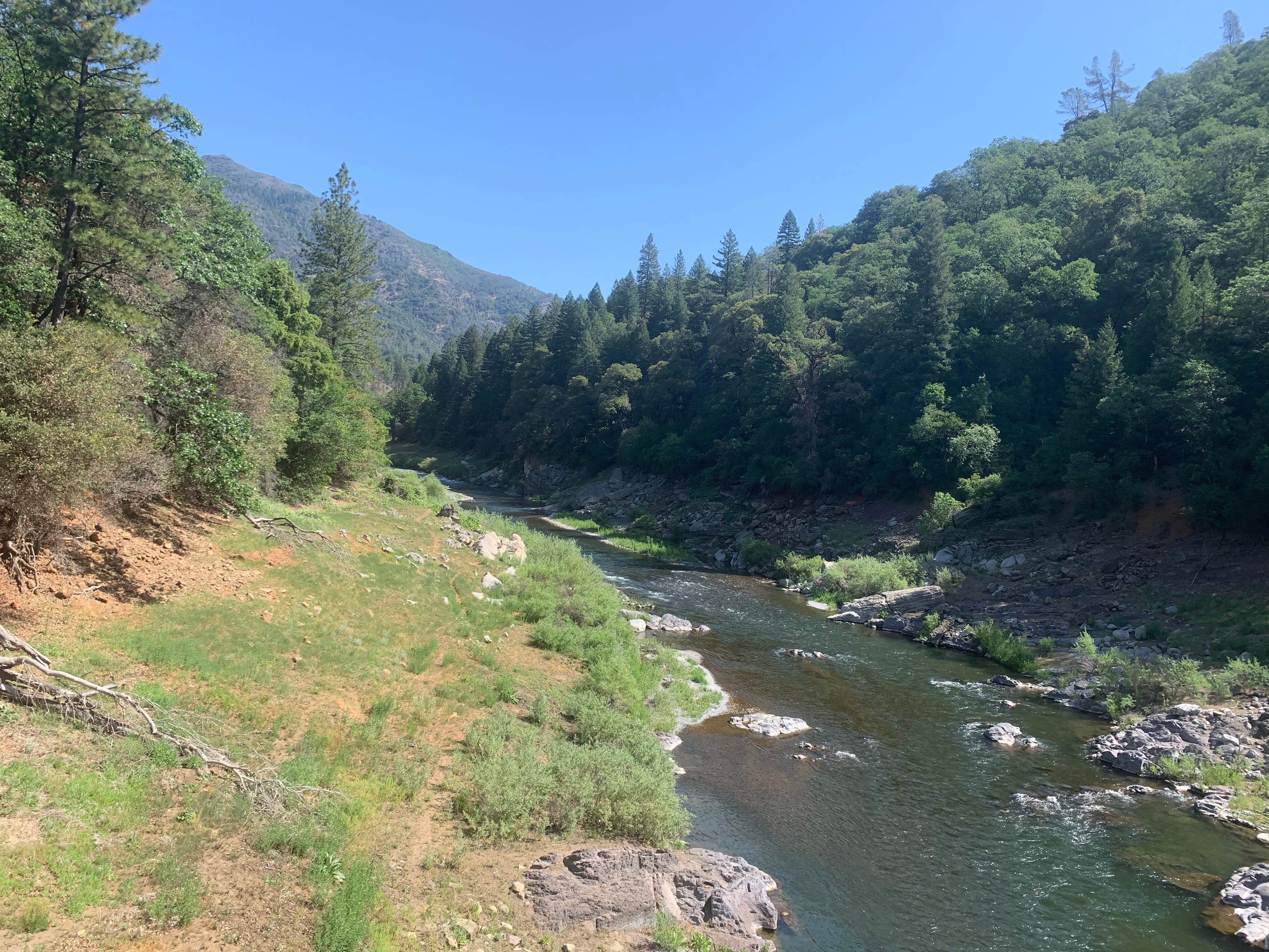 Camper submitted image from McCloud Bridge Campground - 5