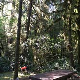 Review photo of Paradise Campground by Bill I., July 15, 2016