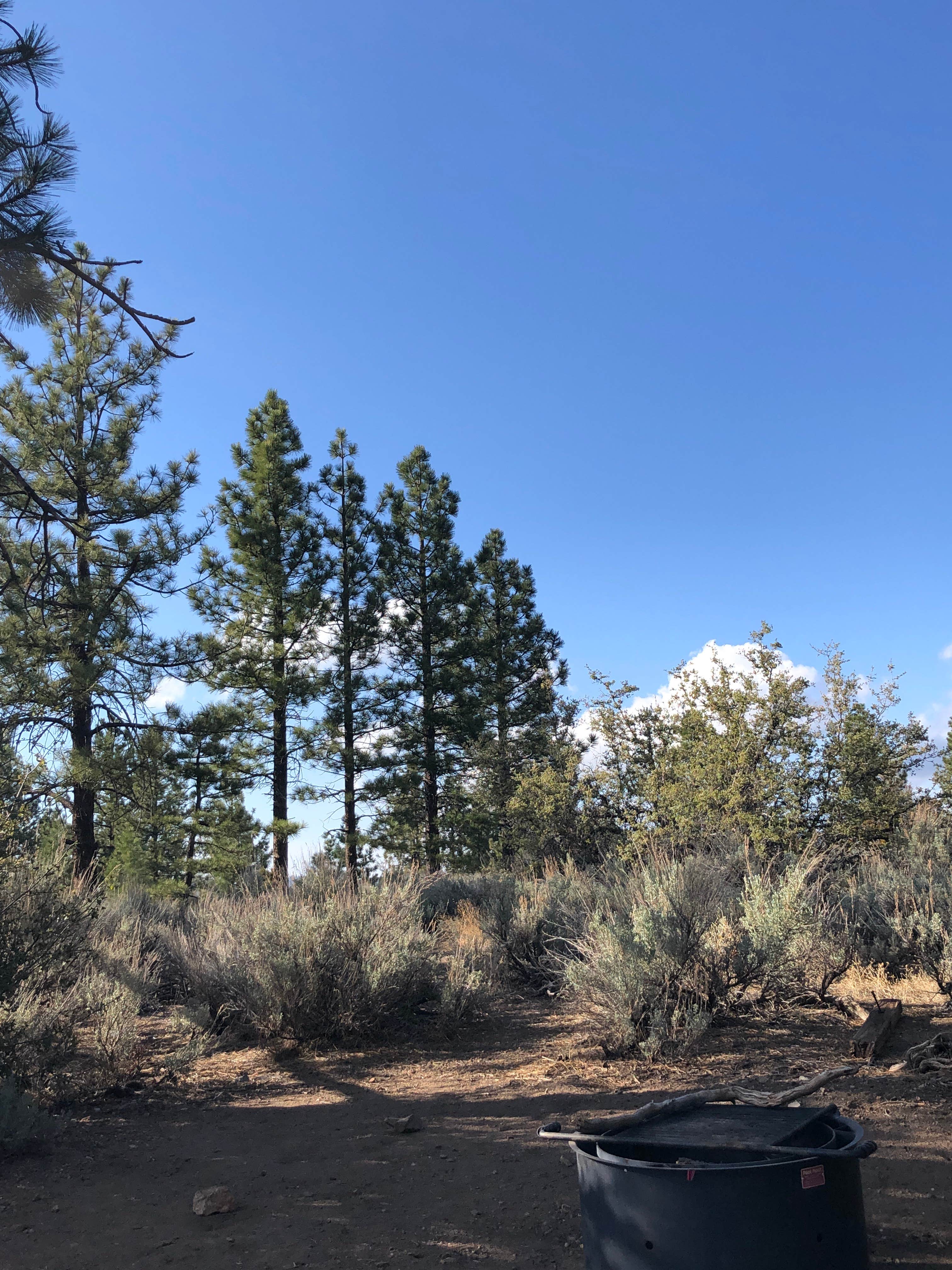 Chuchupate Campground | The Dyrt