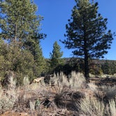 Review photo of Chuchupate Campground by Bower , May 17, 2021