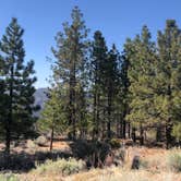 Review photo of Chuchupate Campground by Bower , May 17, 2021