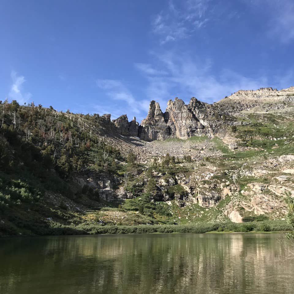 Humboldt National Forest Angel Creek Campground Camping The Dyrt