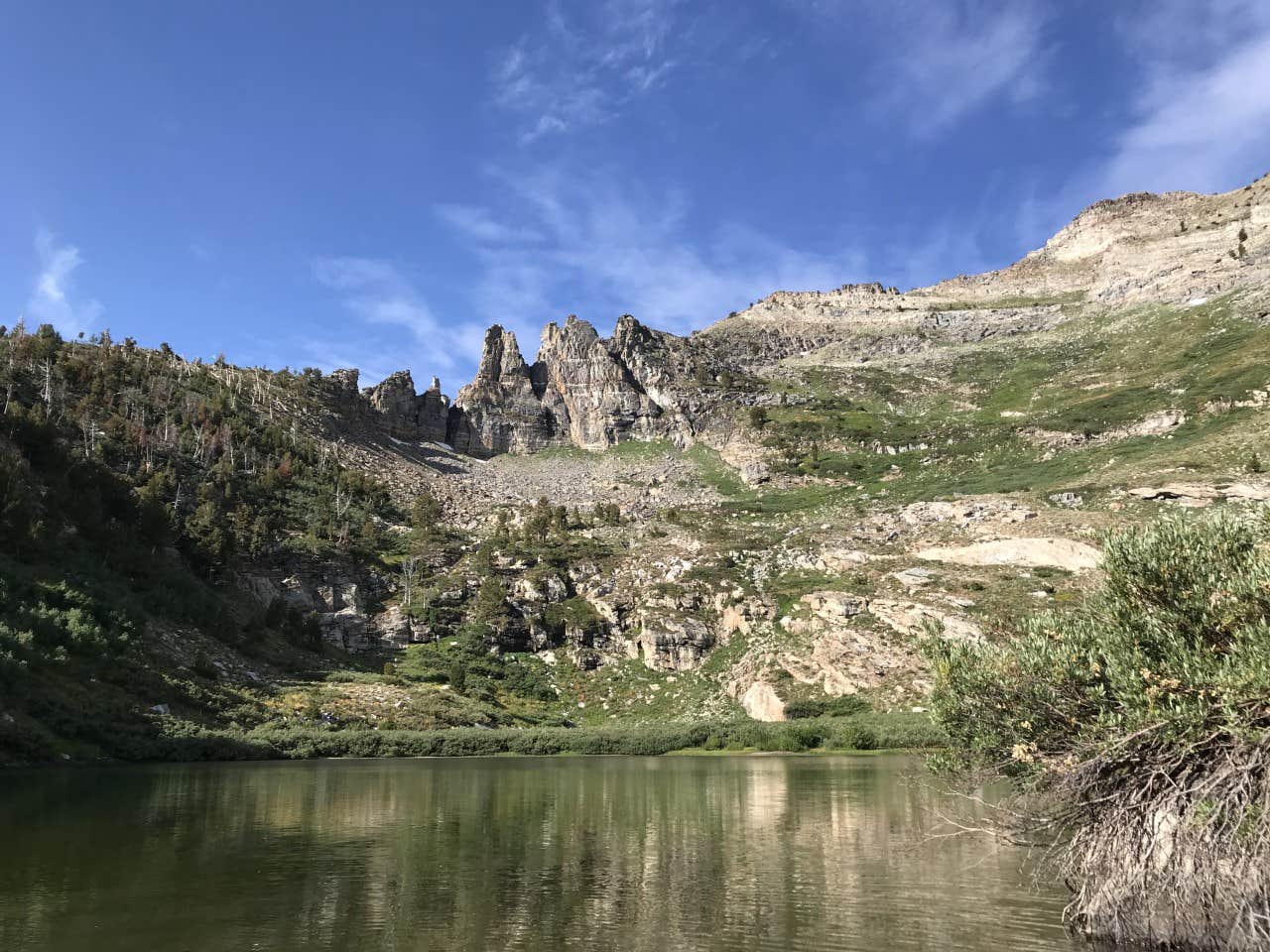 Humboldt National Forest Angel Creek Campground Camping The Dyrt