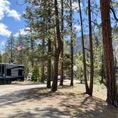 Review photo of Eureka Valley Campground by Alison , May 16, 2021