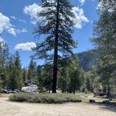 Review photo of Eureka Valley Campground by Alison , May 16, 2021