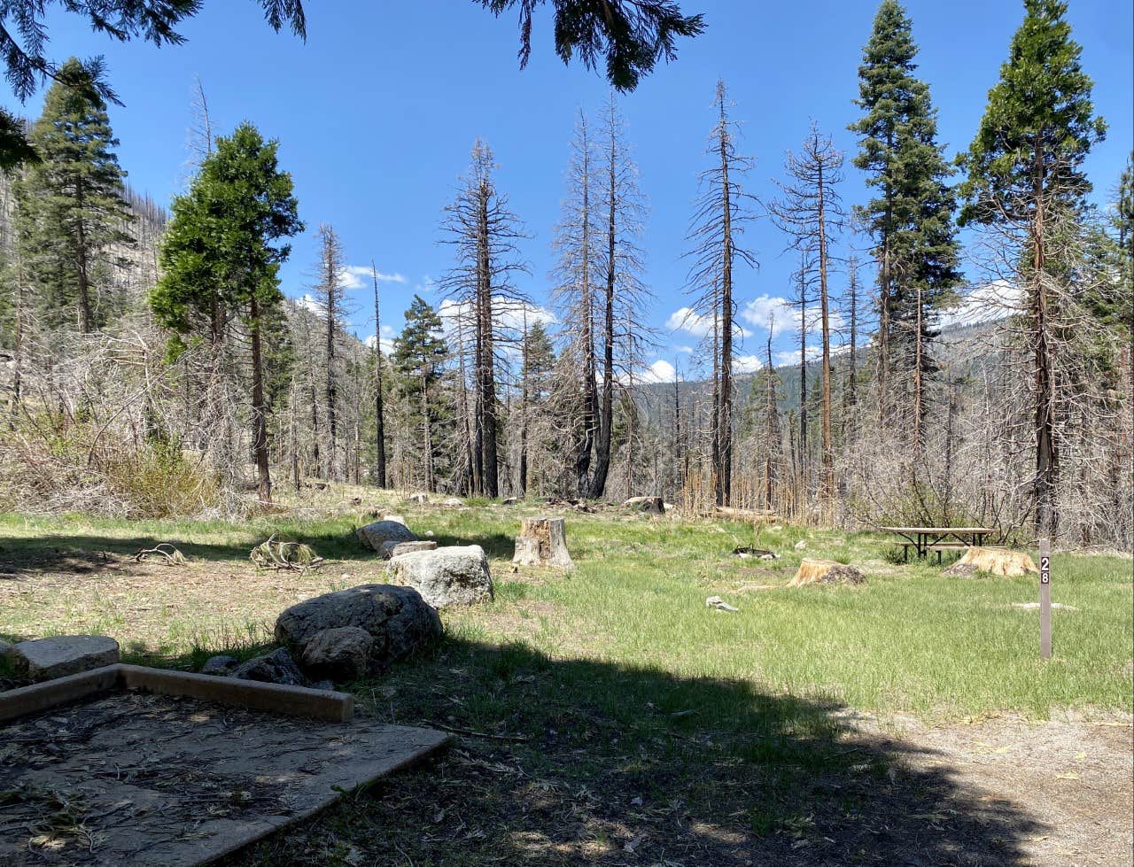 Escape to Enchantment: Your Guide to Brightman Flat Campground