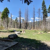 Review photo of Stanislaus National Forest Brightman Flat Campground by Alison , May 16, 2021