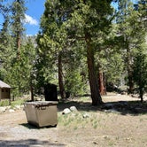 Review photo of Stanislaus National Forest Brightman Flat Campground by Alison , May 16, 2021