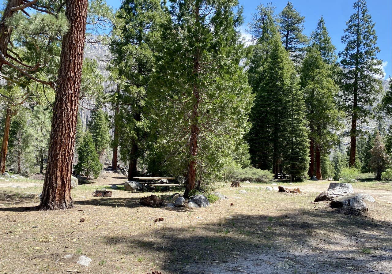 Clark Fork Campground The Dyrt