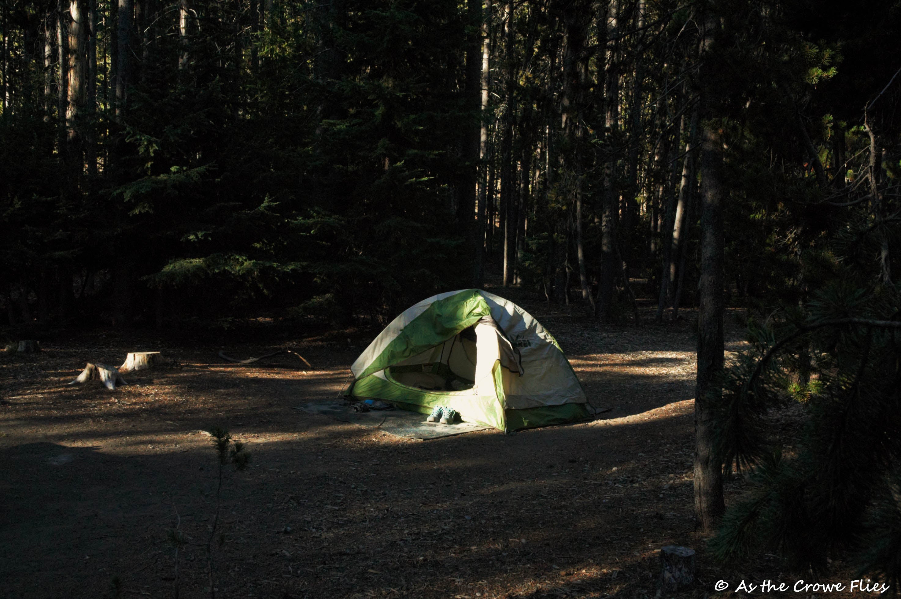 tent site plenty of distance from hammock