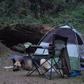 Review photo of Black Canyon Campground - Willamette NF by Shannon C., June 4, 2018