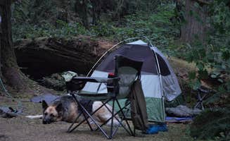 Shannon C.'s photo at Black Canyon Campground - Willamette NF near Fall Creek Lake