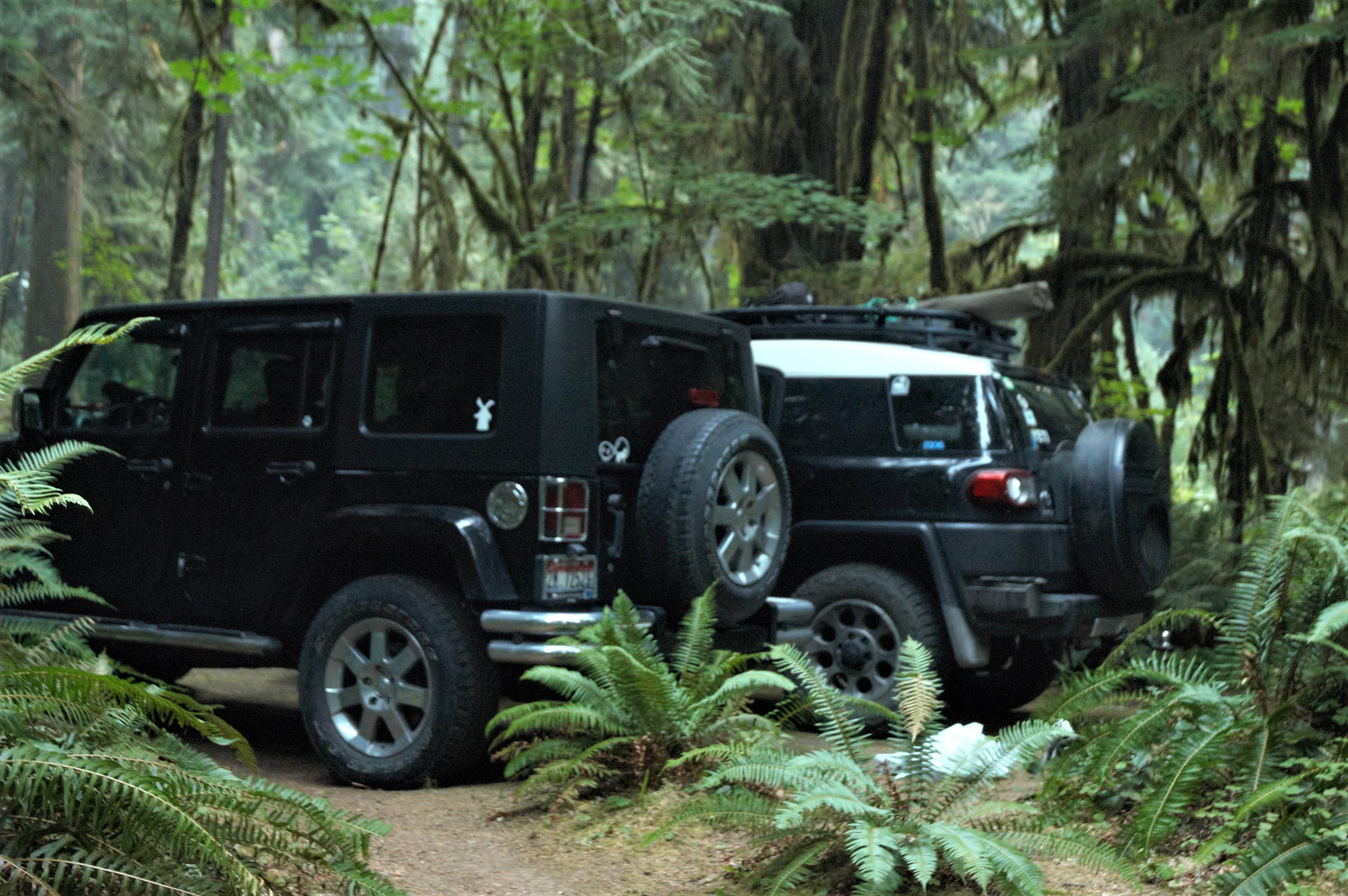 Camper submitted image from Black Canyon Campground - Willamette NF - 2