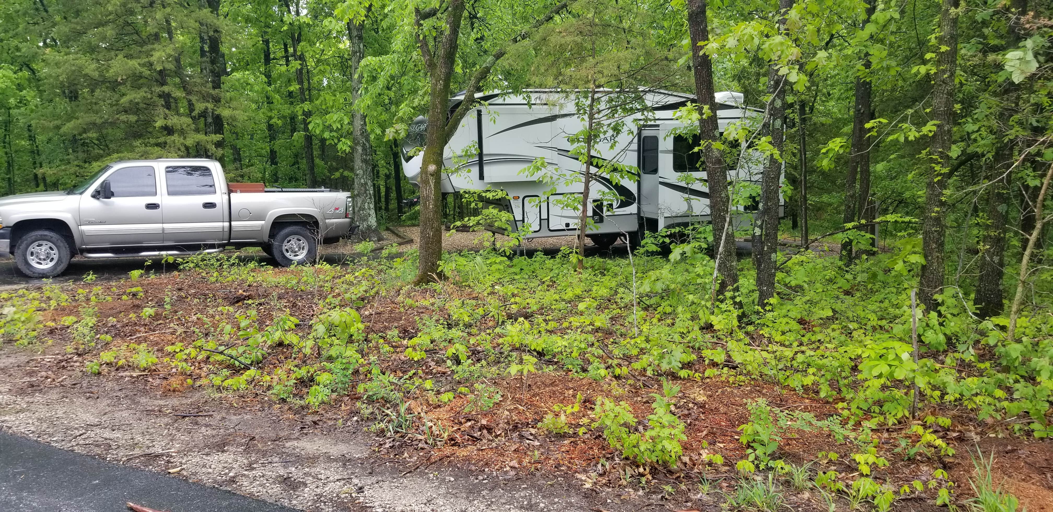 Camper-submitted photo at Frank Russell Campground near Mark Twain Lake