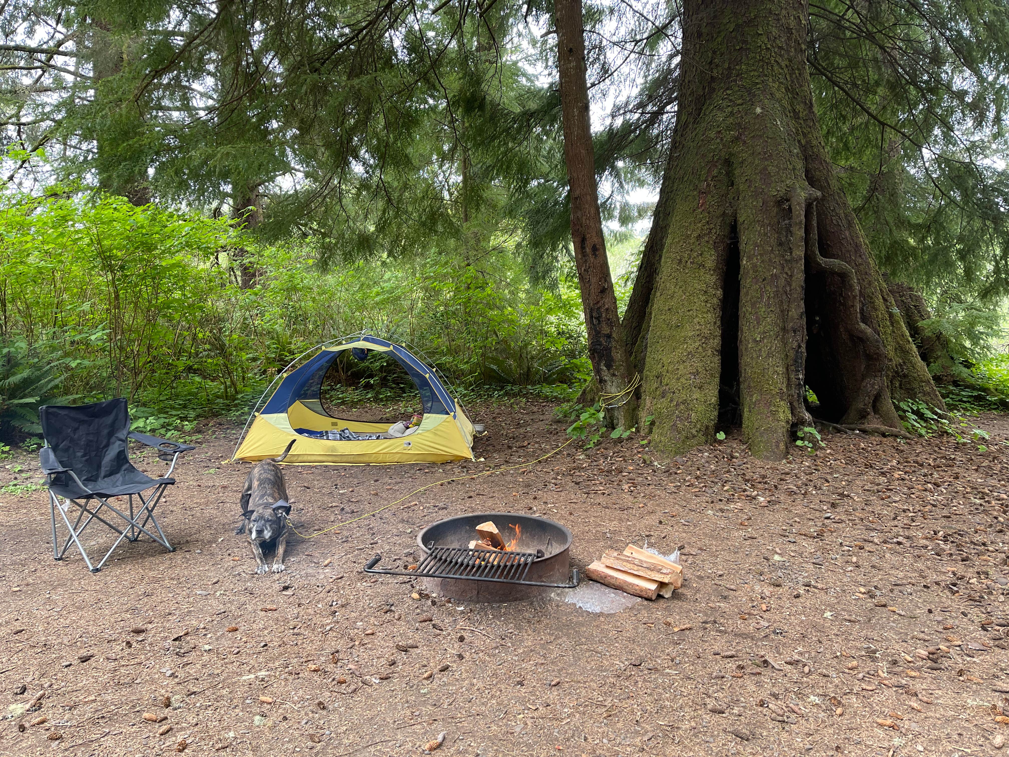 hannah's photo at Mora Campground — Olympic National Park near Neah Bay, WA