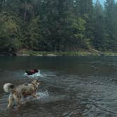 Review photo of Black Canyon Campground - Willamette NF by Shannon C., June 4, 2018