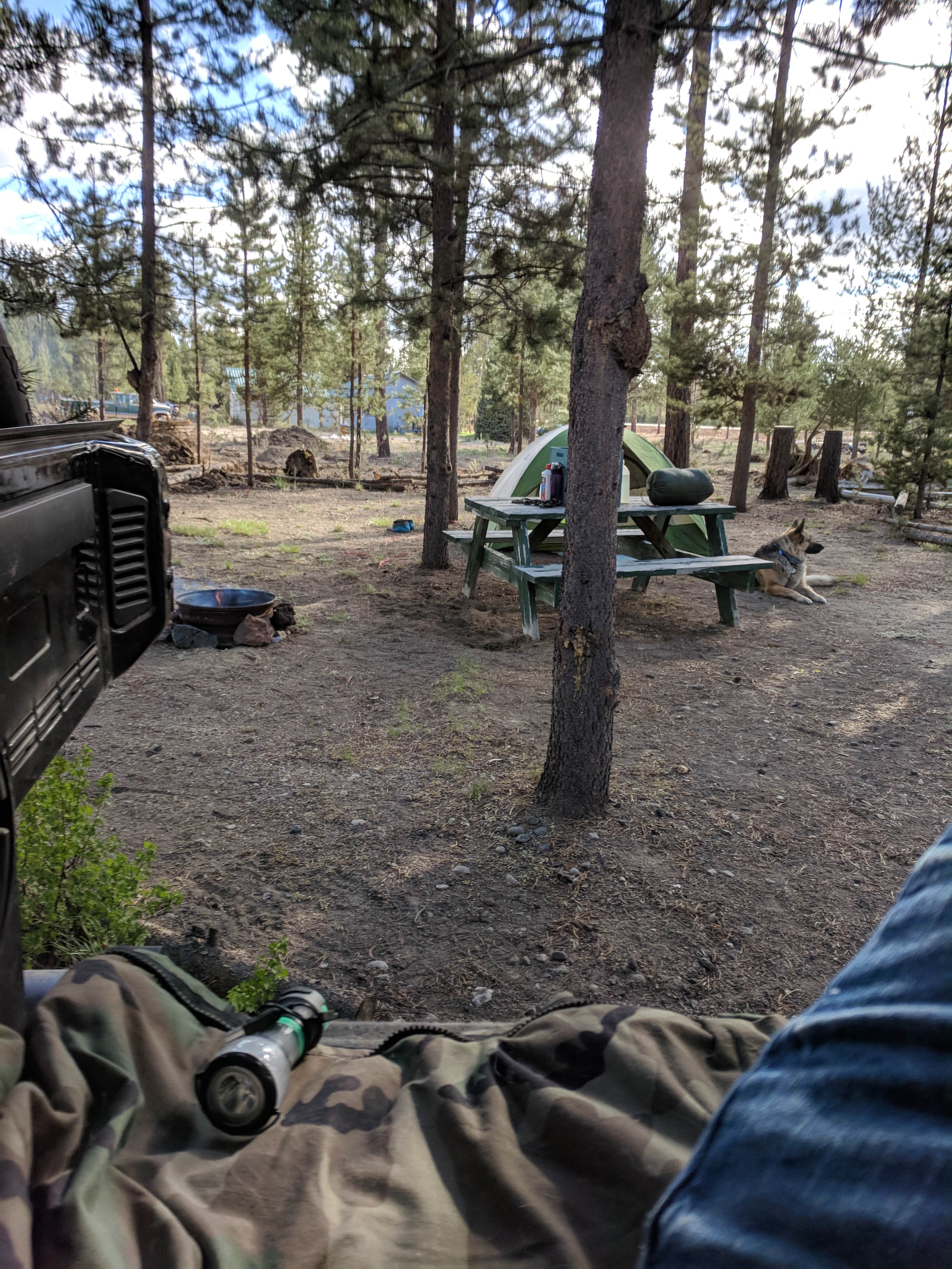 Camper-submitted photo at Big Pines RV Park near Crescent, OR