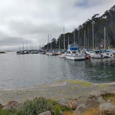 Review photo of Morro Bay State Park Campground by Lady L., May 18, 2021