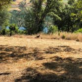 Review photo of Glory Hole Recreation Area by drew C., June 4, 2018