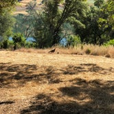 Review photo of Glory Hole Recreation Area by drew C., June 4, 2018