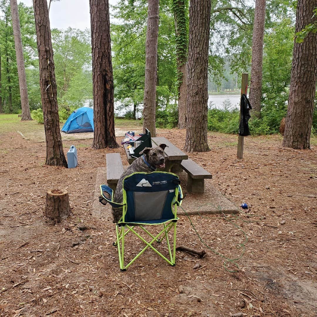 Ratcliff Lake Recreation Area The Dyrt