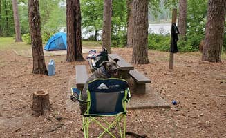 Veronica S.'s photo at Ratcliff Lake Recreation Area near National Forests and Grasslands in Texas