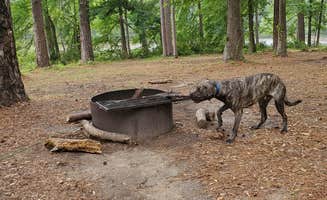 Veronica S.'s photo of camping with pets at Ratcliff Lake Recreation Area near Grapeland, TX