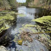 Review photo of Lorraine Park Campground — Harold Parker State Forest by Todd G., May 18, 2021