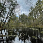 Review photo of Lorraine Park Campground — Harold Parker State Forest by Todd G., May 18, 2021