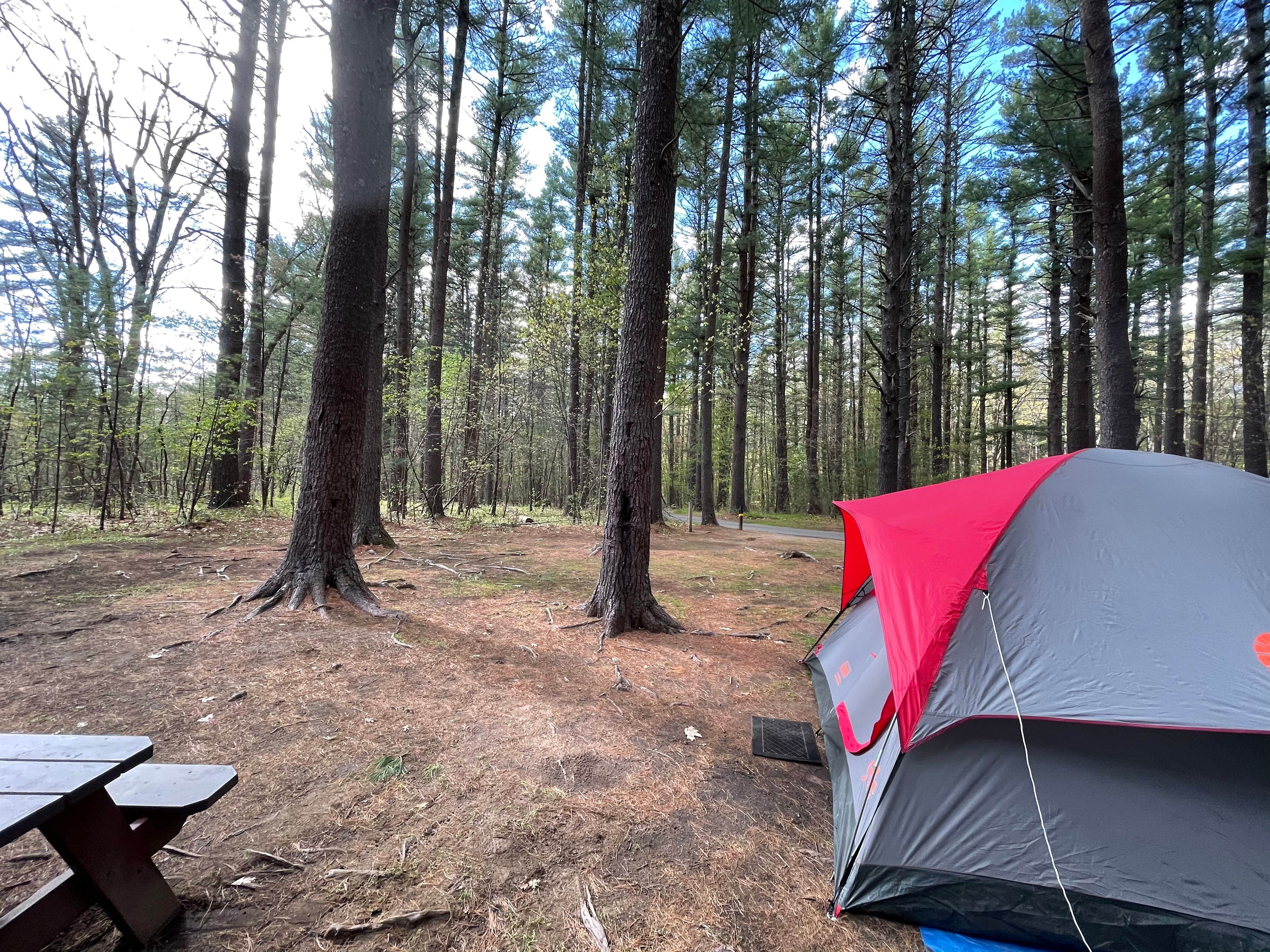 Todd G.'s photo at Lorraine Park Campground — Harold Parker State Forest near Chelsea, MA
