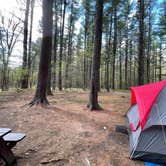 Review photo of Lorraine Park Campground — Harold Parker State Forest by Todd G., May 18, 2021