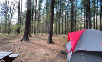 Todd G.'s photo at Lorraine Park Campground — Harold Parker State Forest near Newton Center, MA