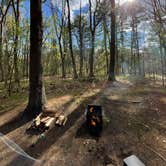 Review photo of Lorraine Park Campground — Harold Parker State Forest by Todd G., May 18, 2021