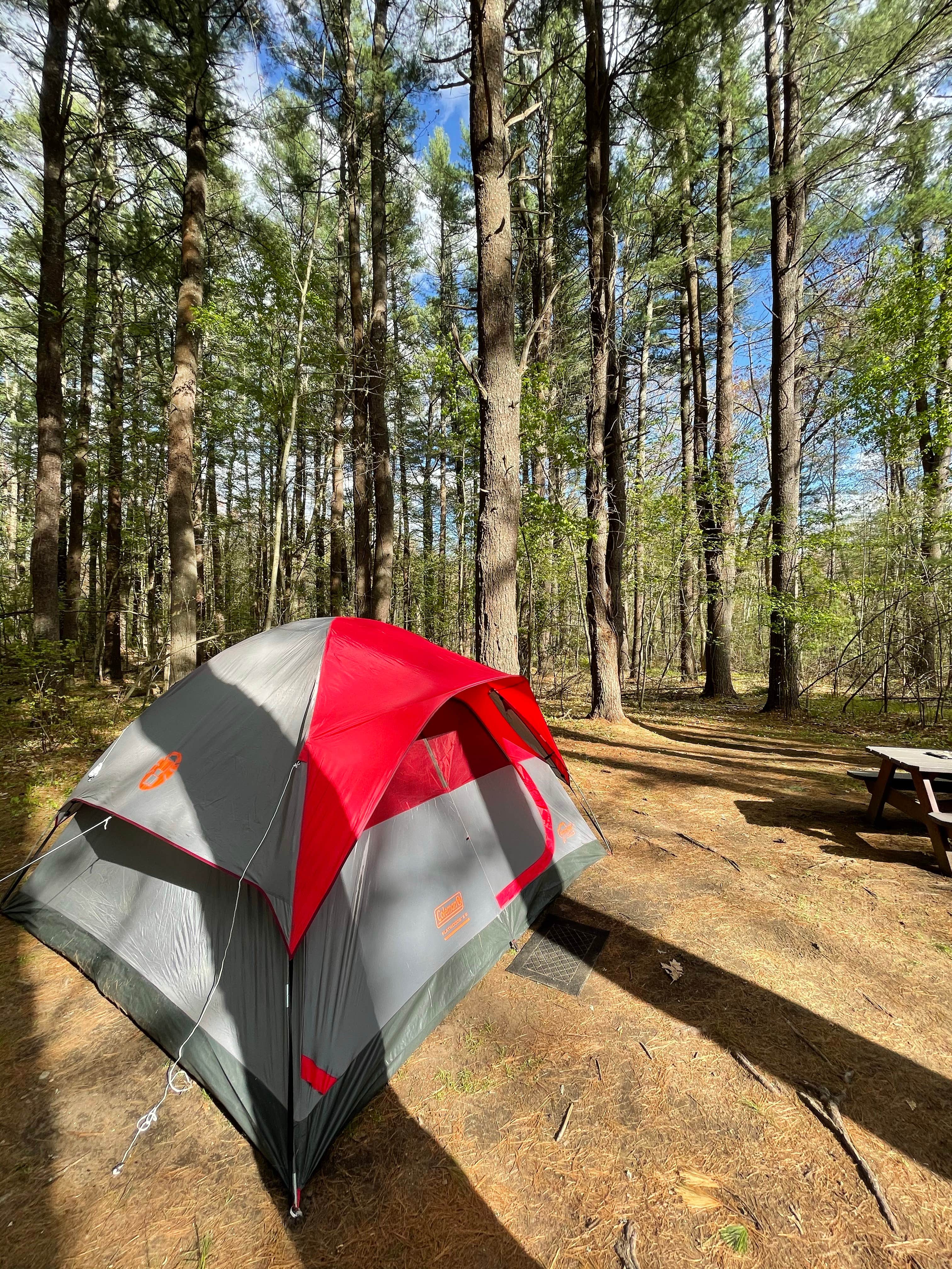 Todd G.'s photo at Lorraine Park Campground — Harold Parker State Forest near Groveland, MA