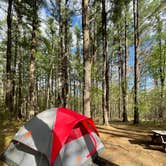 Review photo of Lorraine Park Campground — Harold Parker State Forest by Todd G., May 18, 2021