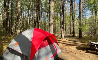 Todd G.'s photo at Lorraine Park Campground — Harold Parker State Forest near Nashua, NH