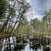 Review photo of Lorraine Park Campground — Harold Parker State Forest by Todd G., May 18, 2021