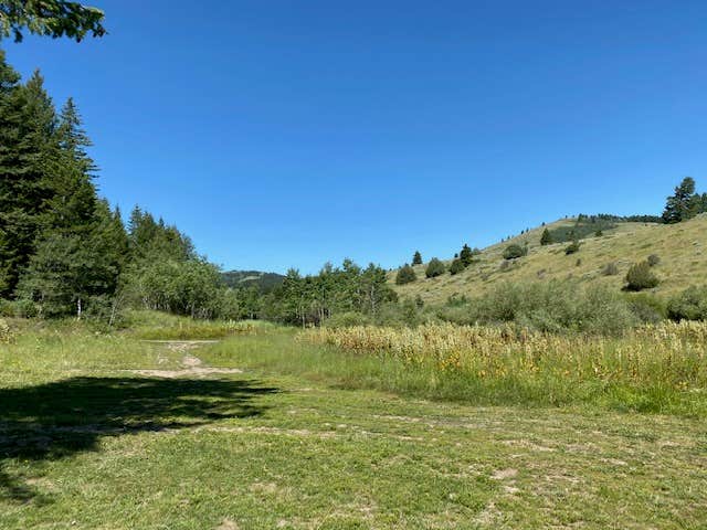 Camper submitted image from Flat Canyon Dispersed Campground - Sawtooth National Forest - 1