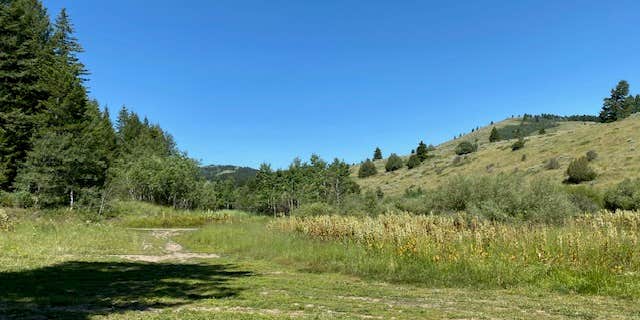 Camper submitted image from Flat Canyon Dispersed Campground - Sawtooth National Forest