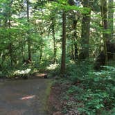 Review photo of Paradise Campground by Bill I., July 15, 2016