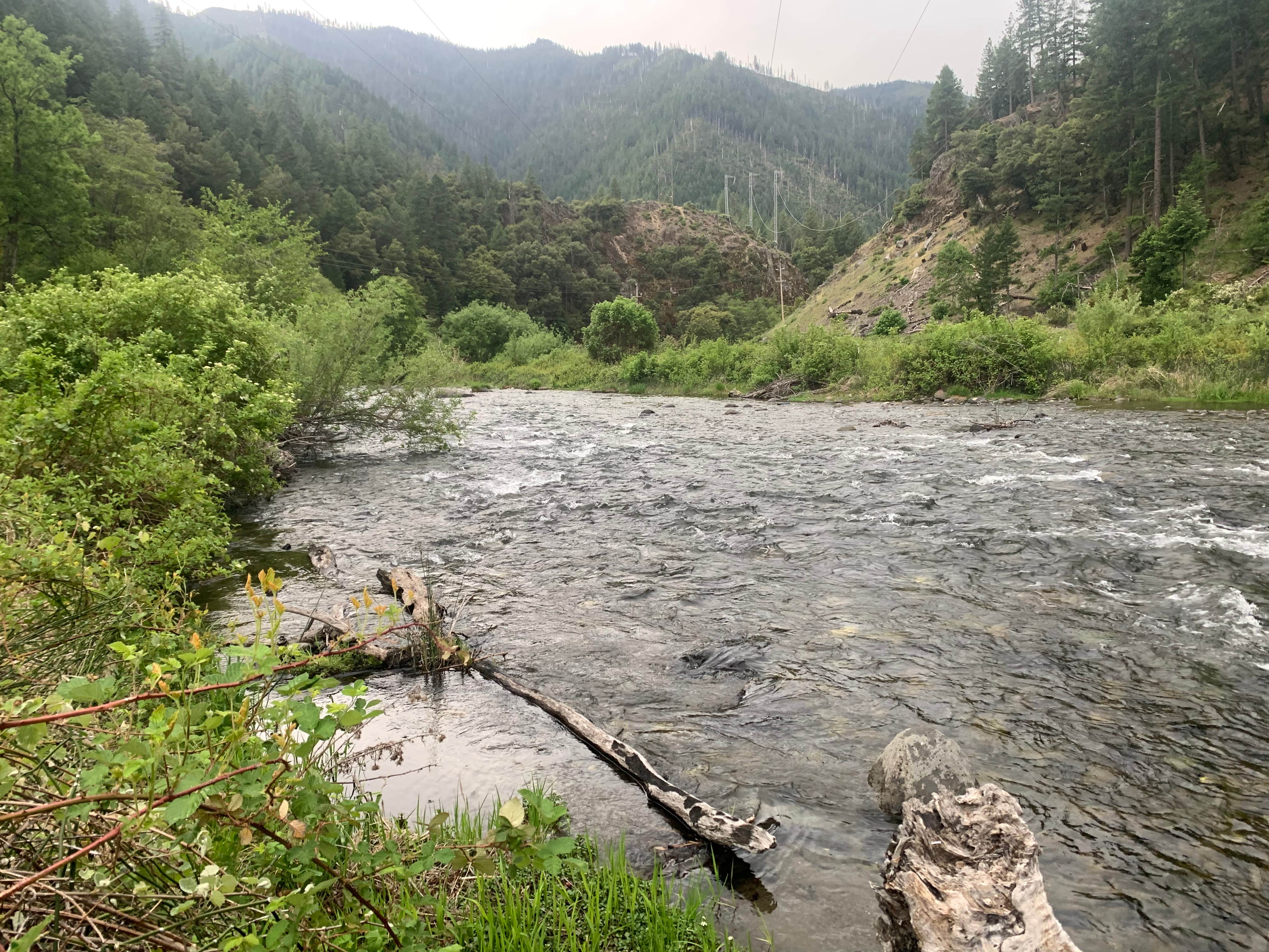Camper-submitted photo at Gansner Bar Campground near Crescent Mills, CA