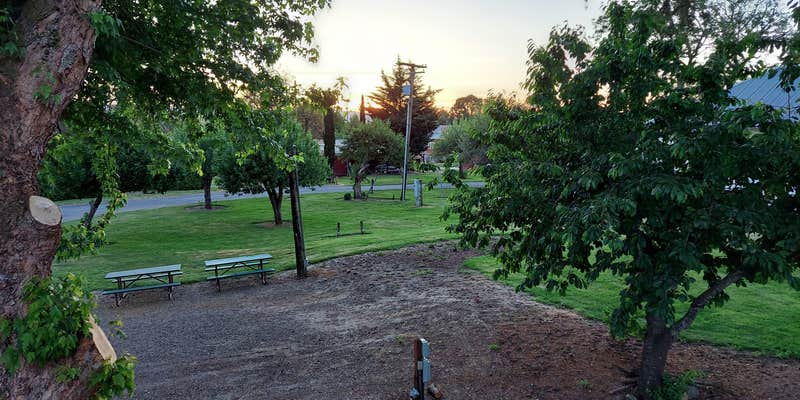 Camper submitted image from Reeder Beach RV Park & Country Store