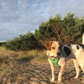 Review photo of Ocracoke Campground — Cape Hatteras National Seashore by Kaitlyn F., May 18, 2021