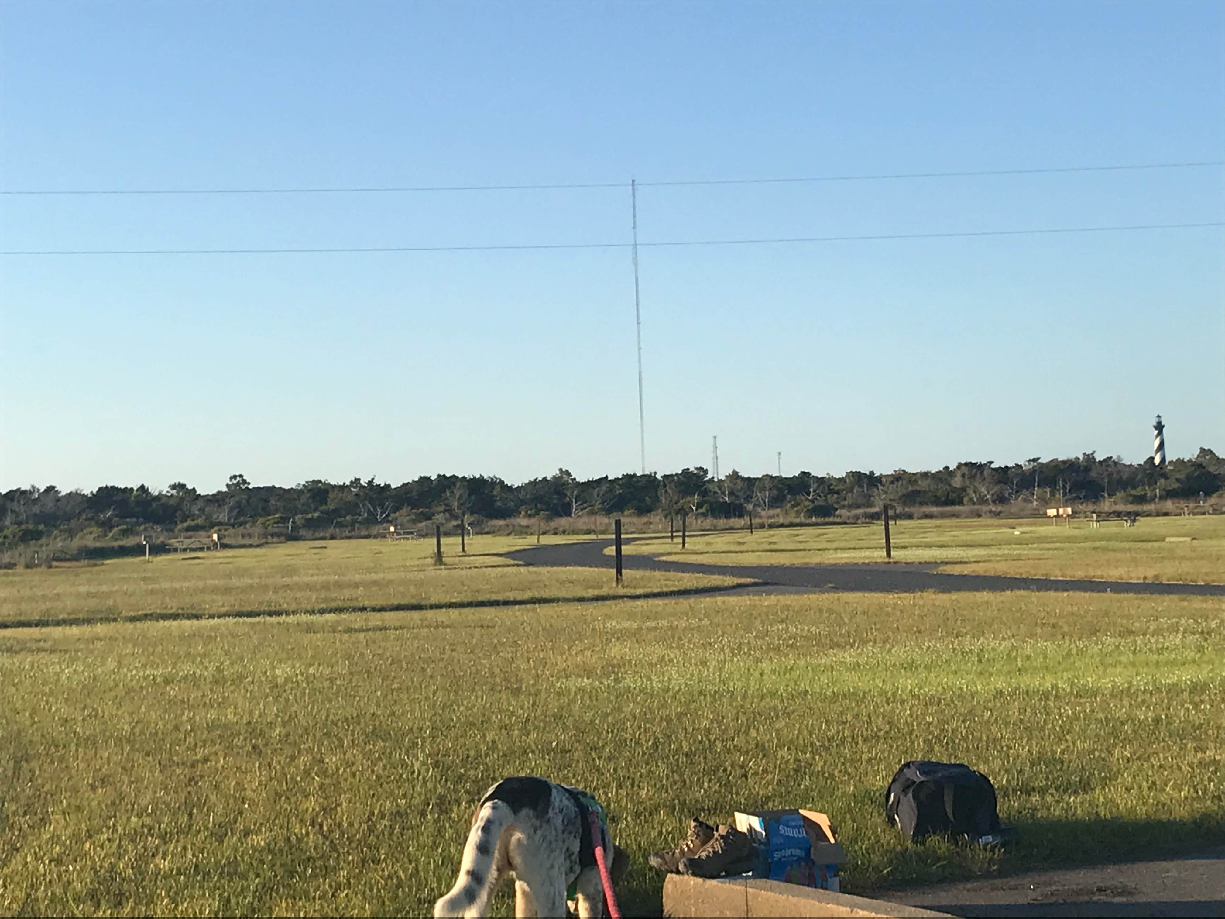 Kaitlyn F.'s photo of camping with pets at Cape Point — Cape Lookout National Seashore near Frisco, NC